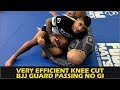 Very Efficient Knee Cut BJJ Guard Passing No Gi by JT Torres