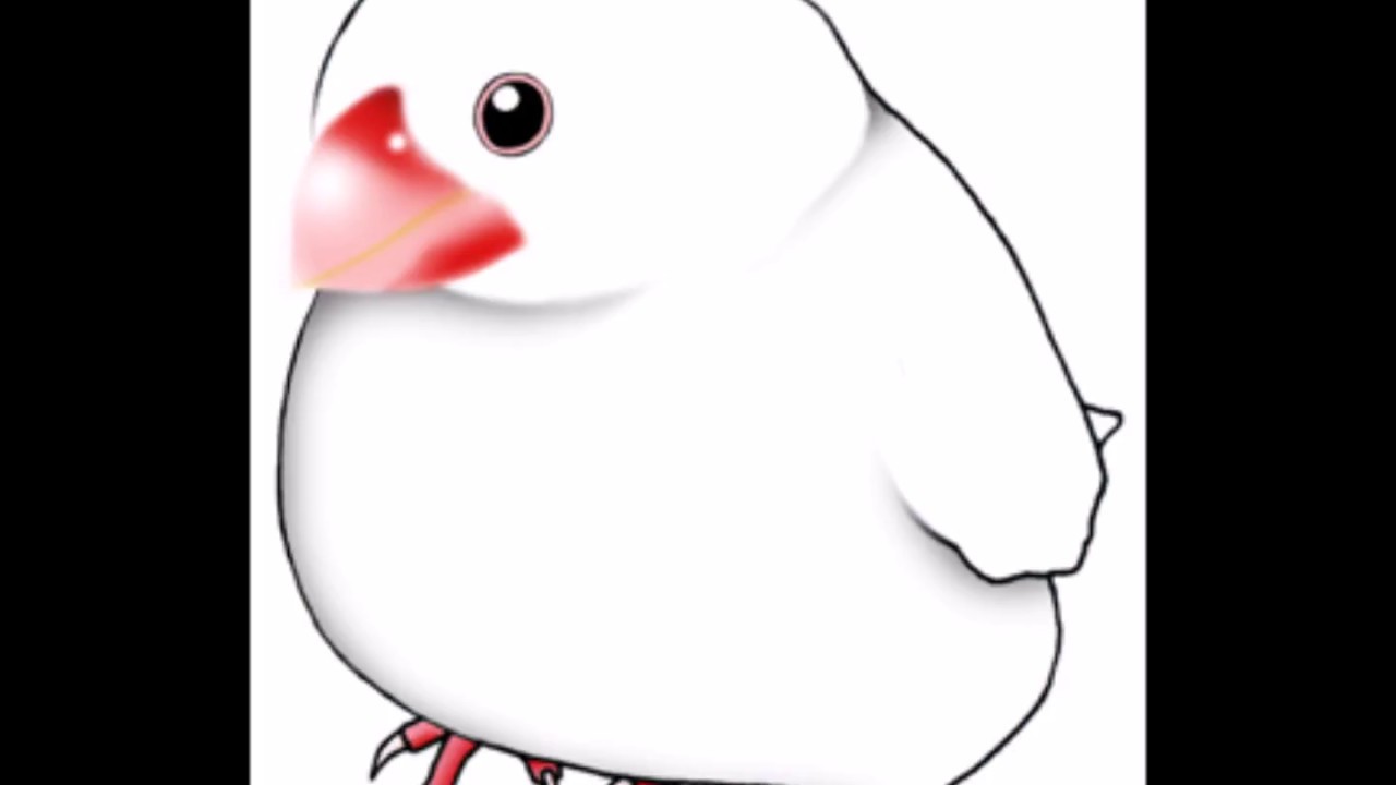 白文鳥を描いてみた イラスト Youtube