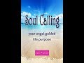 A guided meditation journey based on the book: "Soul Calling, finding your Angel guided life purpose ~ Jan Porter 