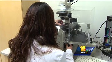 JHU researchers create light-sensitive retina