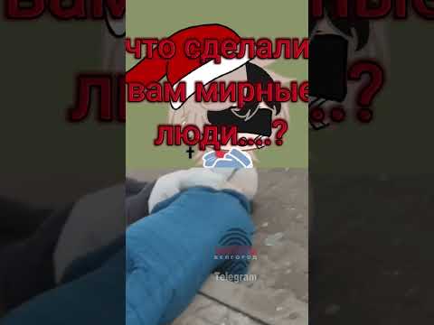 боже мой..... что вам сделали мирные люди....!? #рек #рекомендации #cupcut #gachaclub #белгород