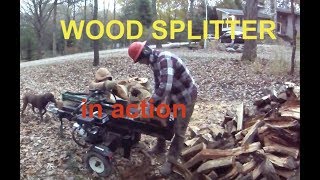 Forest King 22 - Ton Gas Log Splitter - Getting ready for Winter - Splitting wood for the wood pile