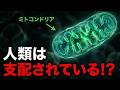 ミトコンドリアの脅威の影響力…私たちは支配されている?
