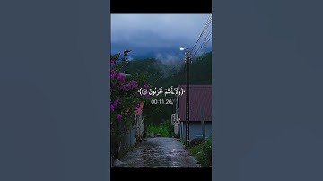 اجر لي ولكـم 🌊🌷#كلير_تحبكم#اكسبلور#قران_كريم#راحة_نفسية#لايك#سورة_الزخرف#محمد_صديق_المنشاوي