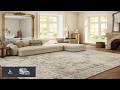 Washable Area Rugs for Living Room: 6x9 Bedroom Area Rugs Boho Vintage
