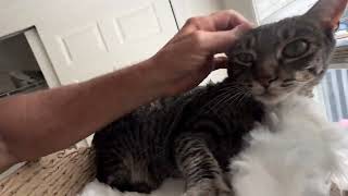 IMG 5648
