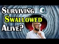How Do Animals Swallowed Alive Actually Die and Do Any Ever Get Out Alive After?