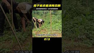 燕子追求者來家里，和燕子一起在菜園清理雜草 #農村生活 #荒野求生 #荒野独居 #求生挑战 #生存挑战 #荒野