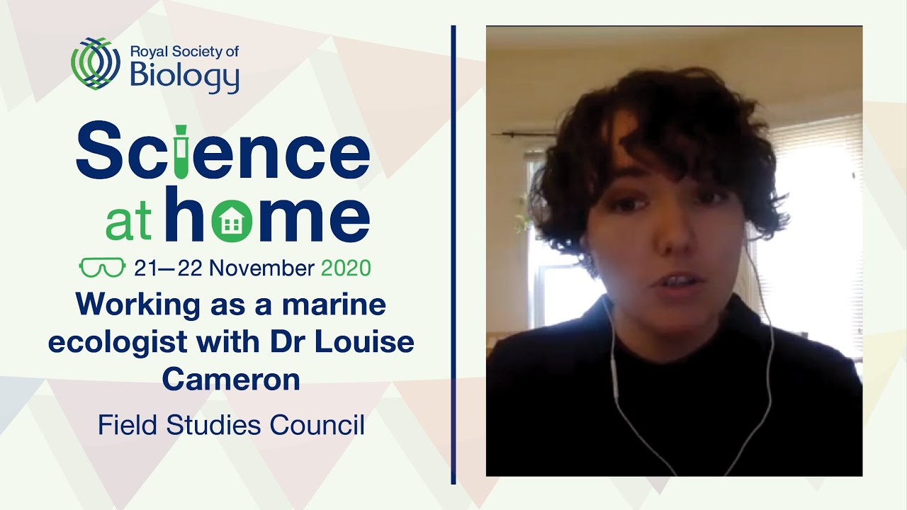 Working as a marine ecologist with Dr Louise Cameron | Science at Home | Royal Society of Biology