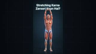 🧘 Stretching Karna Zaroori Kyun Hai? | Benefits of Stretching for Body & Muscles
