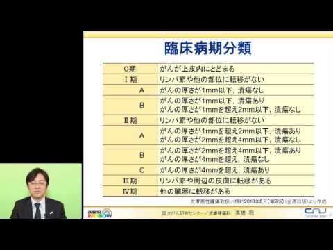 No3　悪性黒色腫（メラノーマ）病気分類について  高橋 聡