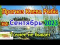 Календарь рыбака на Сентябрь Прогноз клева рыбы Лунный Календарь рыбака 2023!