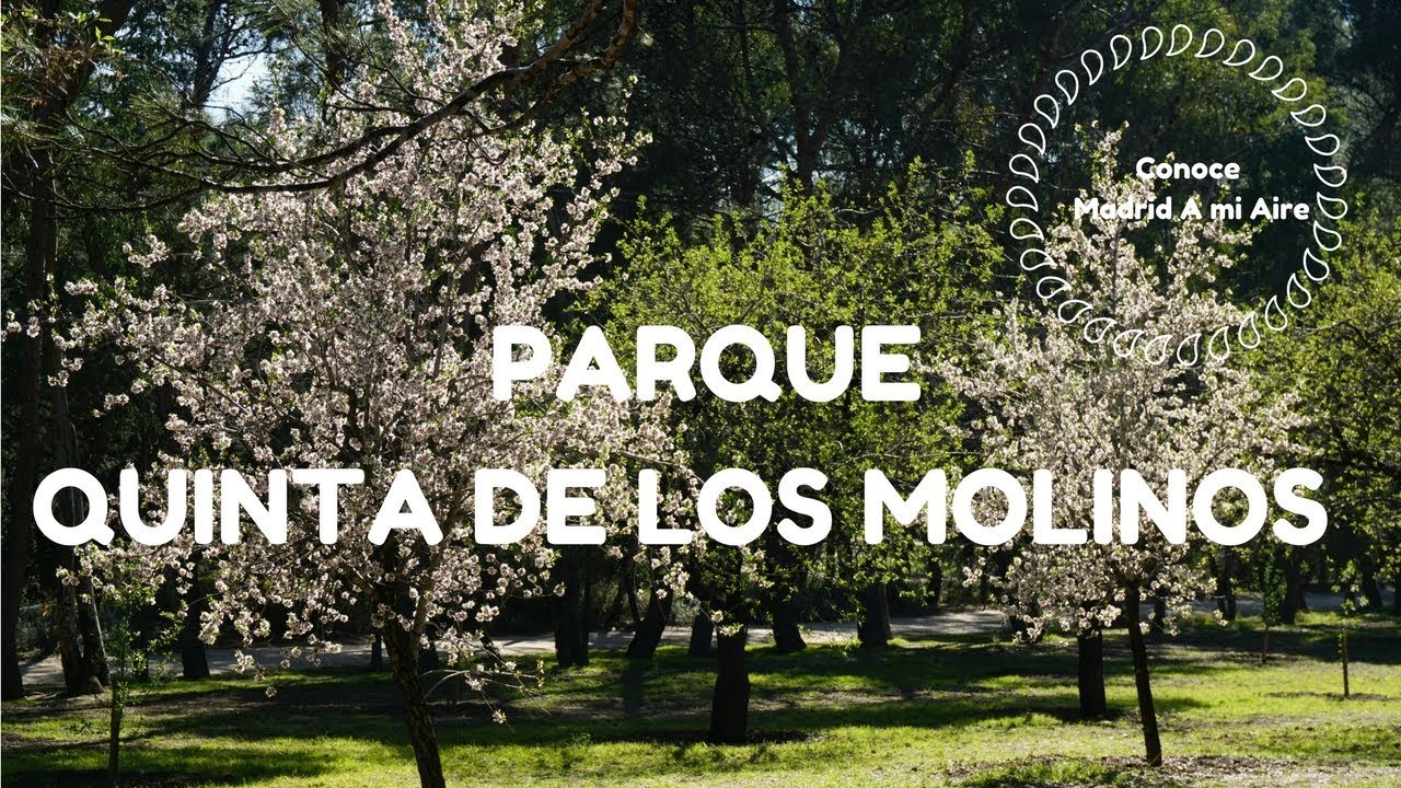 PARQUE QUINTA DE LOS MOLINOS Conoce Madrid A mi Aire YouTube