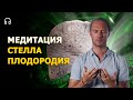 Медитация космоэнергетики | Стелла ПЛОДОРОДИЯ