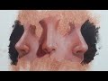 How to Paint Nose in different angles/ using Oil Paints