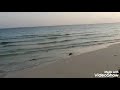 اهون بيوت الخلق عند الله بيت العنكبوت
