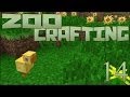 Security Gaps 🐘 Zoo Crafting: Episode #14