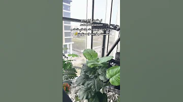 في حومتها متحلبش 