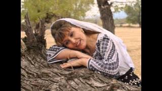 Anica Gantu - La fantana parasita