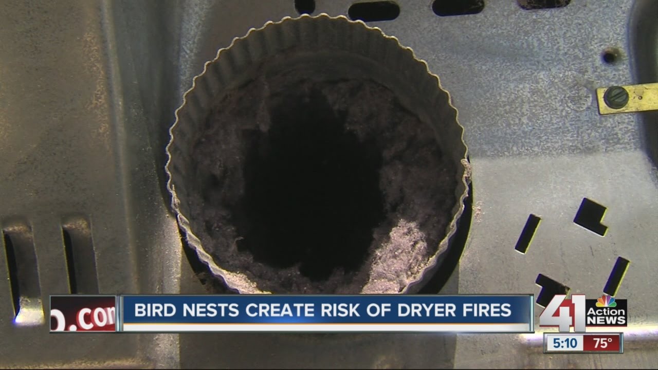 Bird nests create risk of dryer fires YouTube