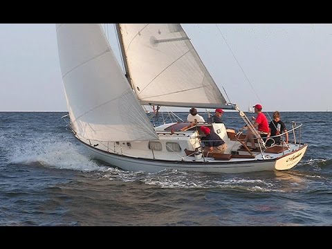 AYC Wednesday Night Races: Series 3 Race 2