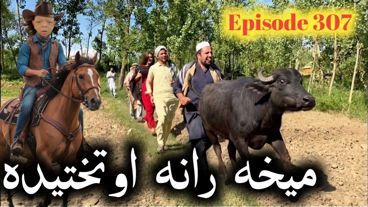 Mekha Rana Authakhteda ll Khpala Weena Drama Episode 307 By Charsadda Vines Director Sadiq Khan 2026