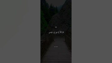 قَالَ كَلَّا ۖ إِنَّ مَعِيَ رَبِّي سَيَهْدِينِ || تلاوة خاشعة اسلام صبحي .