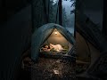 Relaxing Rain Sounds at Night for Sleep 😴 Forest Camping Ambience