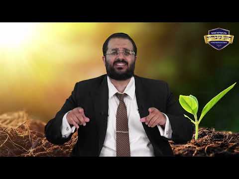 המכות שהביאו את הישועה