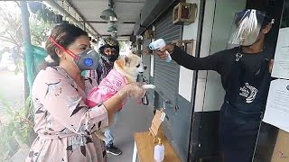 They Checked Candy's TEMPERATURE also | Ss vlogs :)