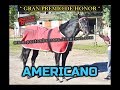 Previa (((AMERICANO))) GRAN PREMIO DE HONOR: HIPÓDROMO SAN FRANCISCO (07-07-19)