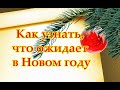 Как узнать, что ожидает в Новом году🎄