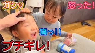 【兄弟喧嘩】２歳弟がしつこい兄にブチギレ！4歳児男女双子＆2歳末っ子の何気ない日常333