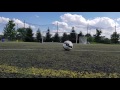 Freekick Montage 4