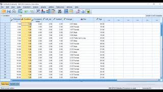 Google form data set to SPSS