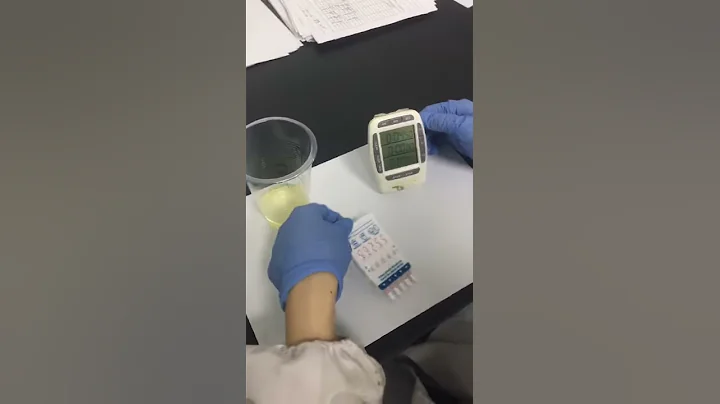 5 panel Urine Drug Test Dipcard