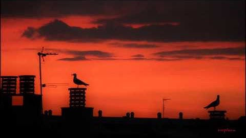 Red Sky Between Us (home-session) by Simplexia