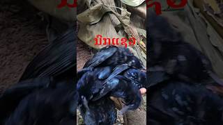 #hunting