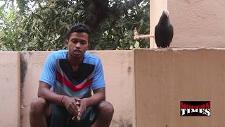 #How to clean lices in pigeons body. பேண் ப்ரச்சனை தீர#