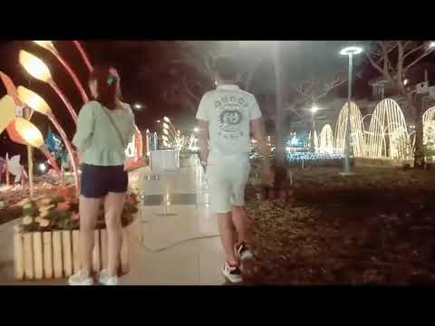 Phong Tranh Ngộ (Vietnamese Cover)