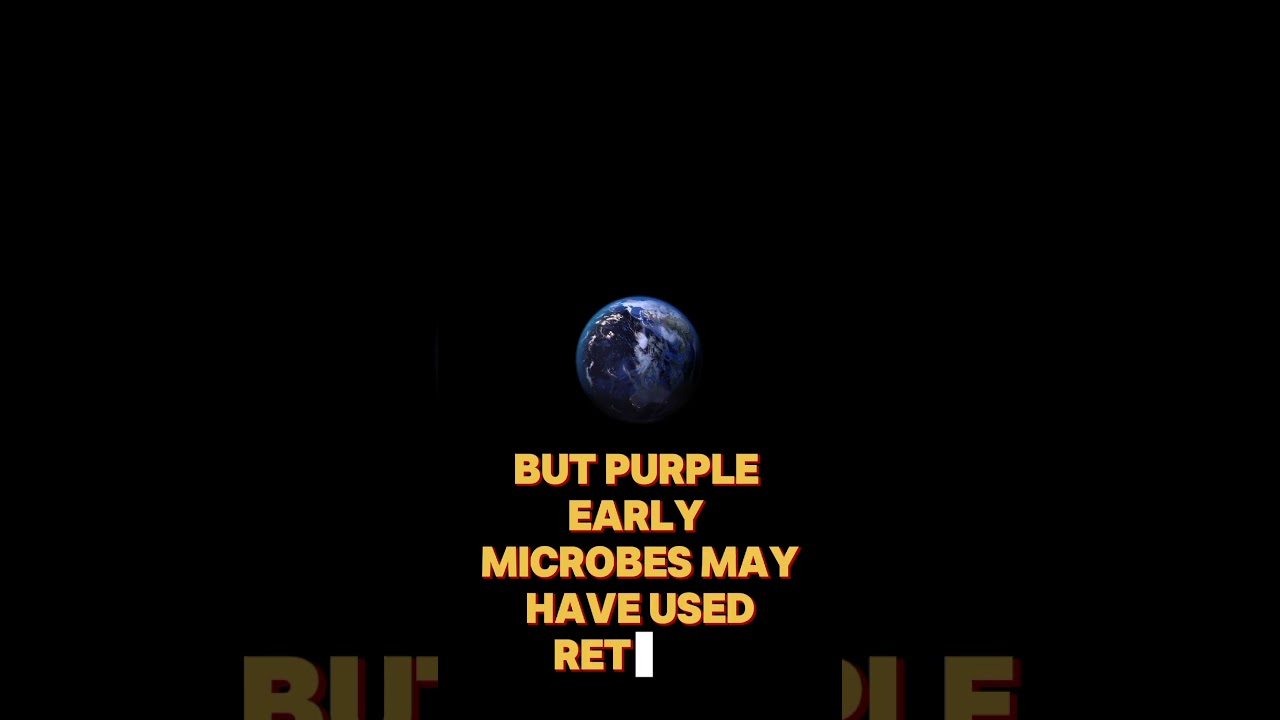 Earth Used to Be Purple