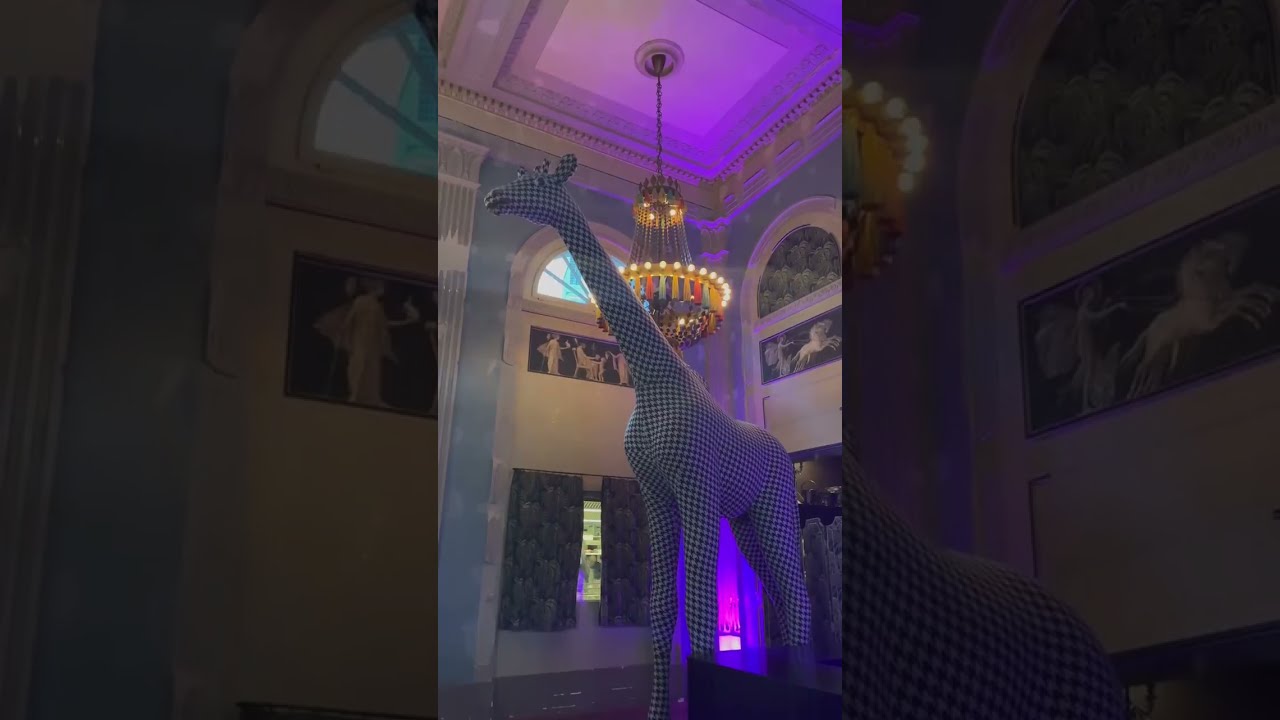 Most beautiful Restaurant in Zurich