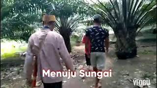 RITUAL BAHANYUN BABUAK SIAL (Ritual Menghanyutkan Membuang Sial) Suku Dayak Balangin