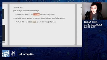Embedded Fest 2021. Tobias Theel. IoT in TinyGo