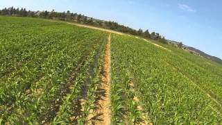 Flying Corn Trenches