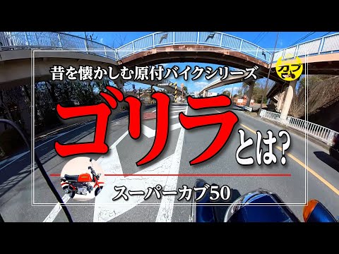 初期のゴリラ A nostalgic look back at the old days of mopeds: What is the