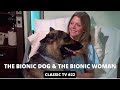 The bionic woman and the bionic dog  extended trailer  lindsay wagner