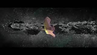 Wah Wah Wah Wah Wah Wah Wah Wah Wahhh Boom