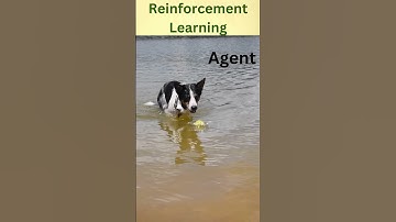 Reinforcement Learning explained in simple terms | Tamil  #dogasagent #tamil #easy #datascience