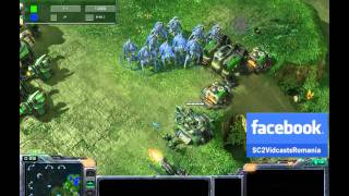 ion(P) vs NTT(T)